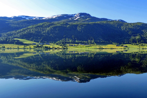 Tåg- och bussresa till Oslo: Tåg- och busstur till Bergen via Hardangervidda/Fjorden