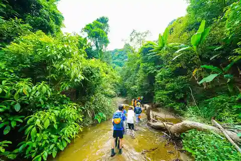 Phong Nha: OLIFANTENGROT & MA DA VALLEI JUNGLE TREK 1D