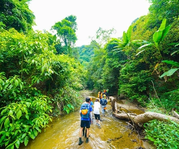 Phong Nha: GROTTA DELL'ELEFANTE E TREKKING NELLA GIUNGLA DELLA VALLE DI MA DA 1D