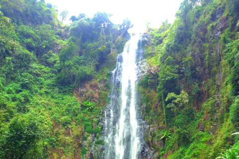 Materuni: Excursión de un día a las cataratas y al café