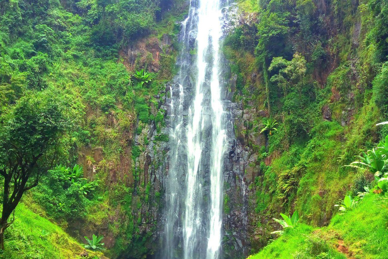 Materuni: Waterfalls and coffee experience day trip