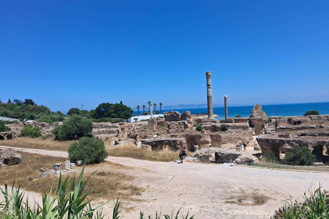 Tunis, Carthage & Bardo Museum: A Journey Through History From Mahdia