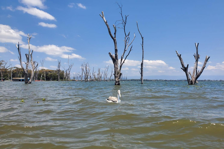 1 Day Lake Naivasha & Crescent Island Walking Safari
