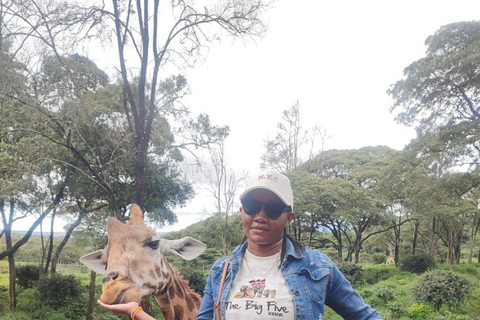 Nairobi: Giraffe Encounter With Feeding Experience