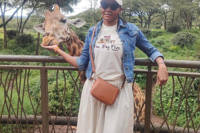 Nairobi: Giraffe Encounter With Feeding Experience