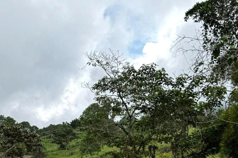 Cali: El Alemán Waterfall Hike in Farallones Park