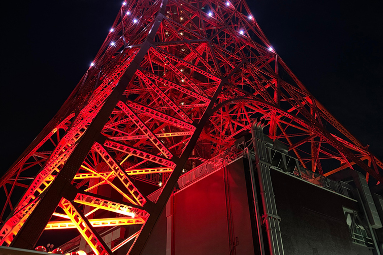 Tokio Haneda - Zwischenlandung 5 Stunden private Tour