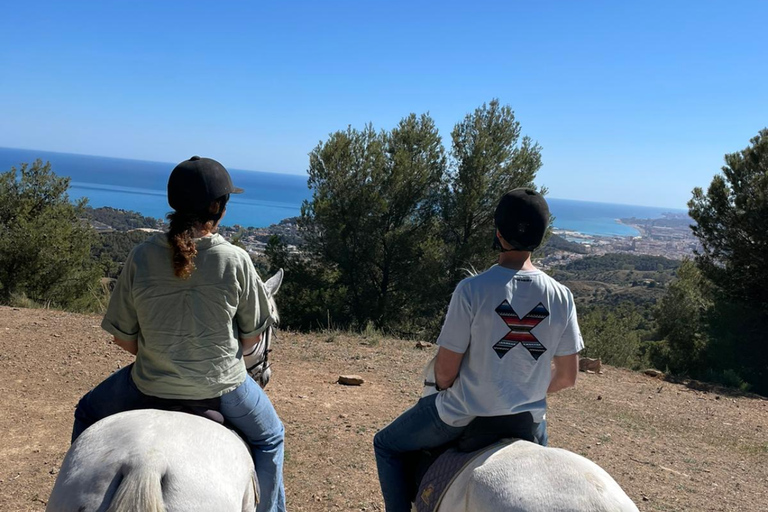 Horseback riding in the Montes Málaga Natural Park - 1 hour Horseback riding in Montes Málaga Natural Park - 1 hour