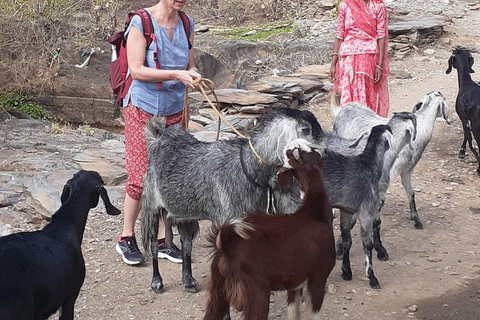 Visita guiada a la vida rural en tuk tuk.Visita guiada por la vida rural en tuk tuk