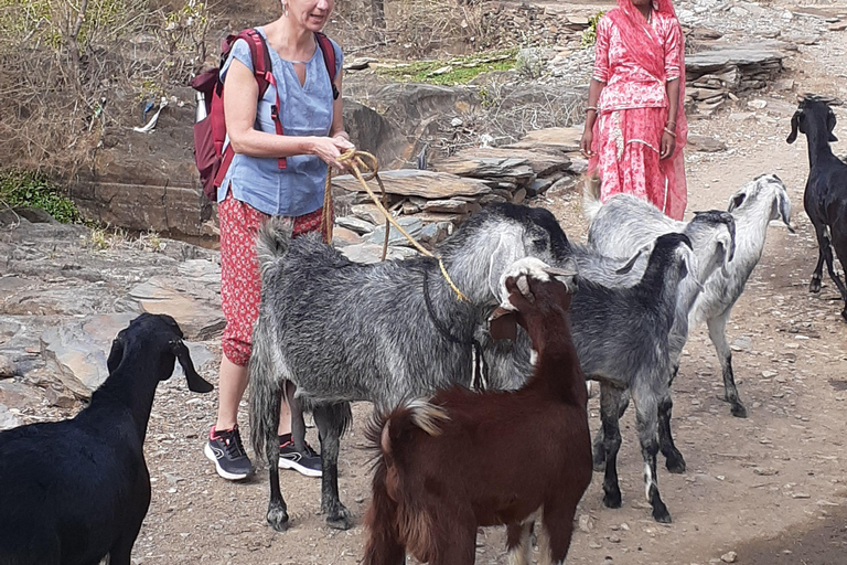 Visita guiada a la vida rural en tuk tuk.Visita guiada por la vida rural en tuk tuk