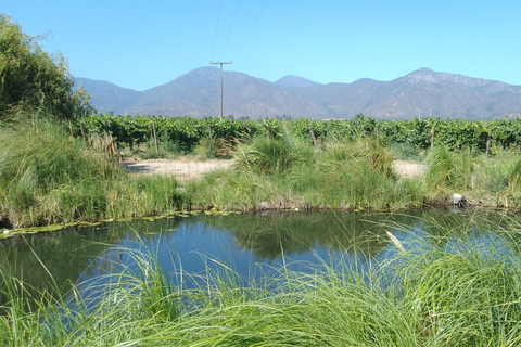 Wineries Tour in Casablanca Valley from Valparaiso Shared tour