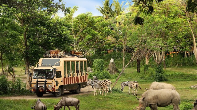 Visit Bali Bali Safari Day Experiences with Pickup Included in Ubud, Bali, Indonesia