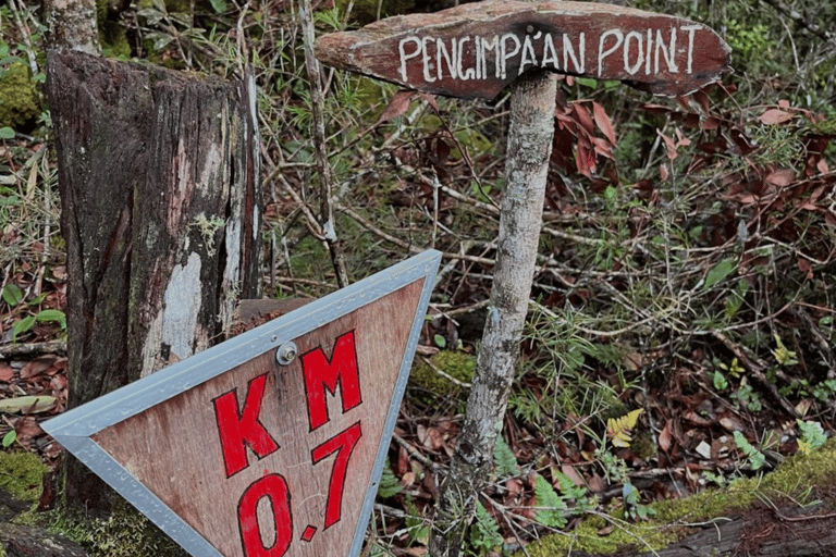 Kota Kinabalu: Maragang Hill Guided Hike with Pickup