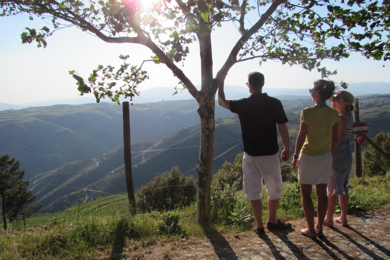 Tour door de Dourovallei, twee wijngaarden, riviercruise en lunch