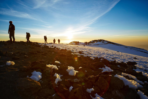 7 jours d'ascension du Kilimandjaro par la route d'Umbwe