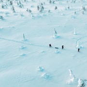 Rovaniemi : randonnée privée de 3 heures en raquettes