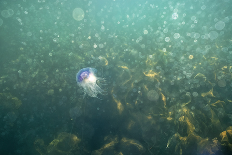 Fort William: Open Group Snorkelling Session