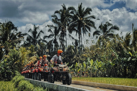 Ubud: Gorilla Face Quad Bike, Jungle Swing, Waterfall &amp; MealSolo Ride with Bali Transfer