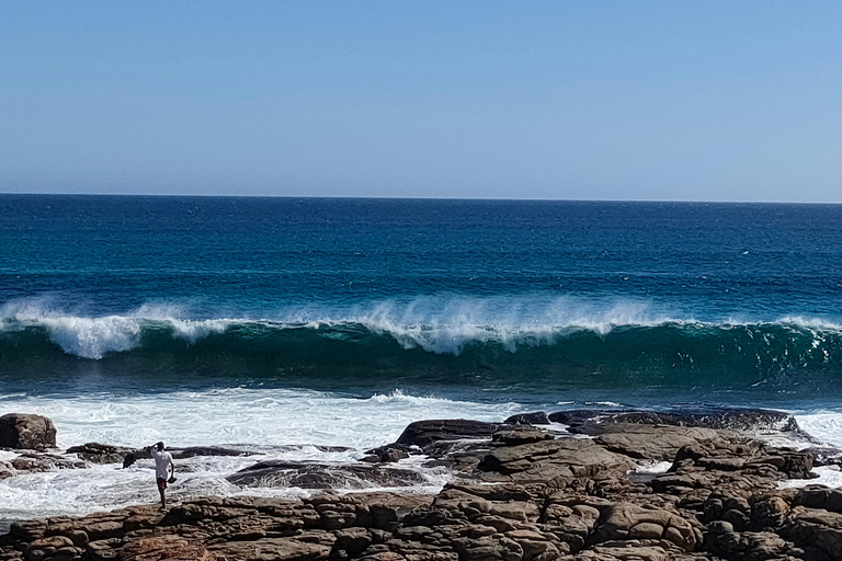 From Perth: Margaret River Premium Wine & Nature Escape
