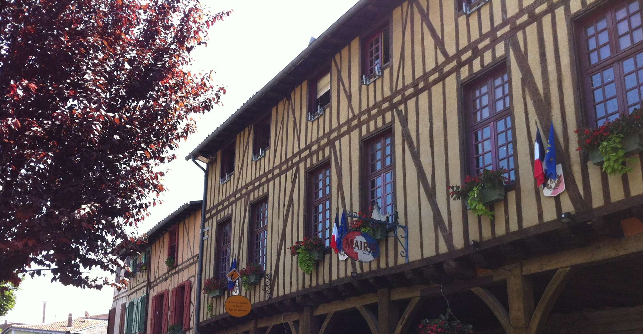 Mirepoix, castles of Montségur & Camon guided tour - Housity