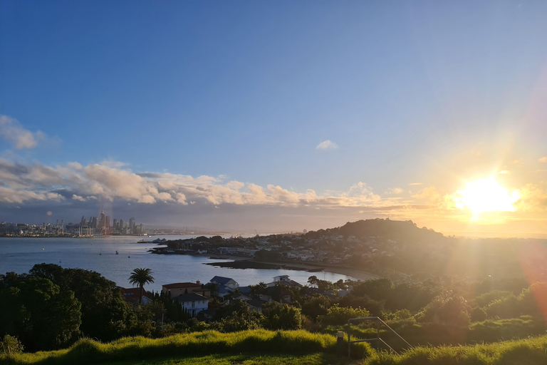 Tour di un giorno intero dei punti salienti della città di Auckland