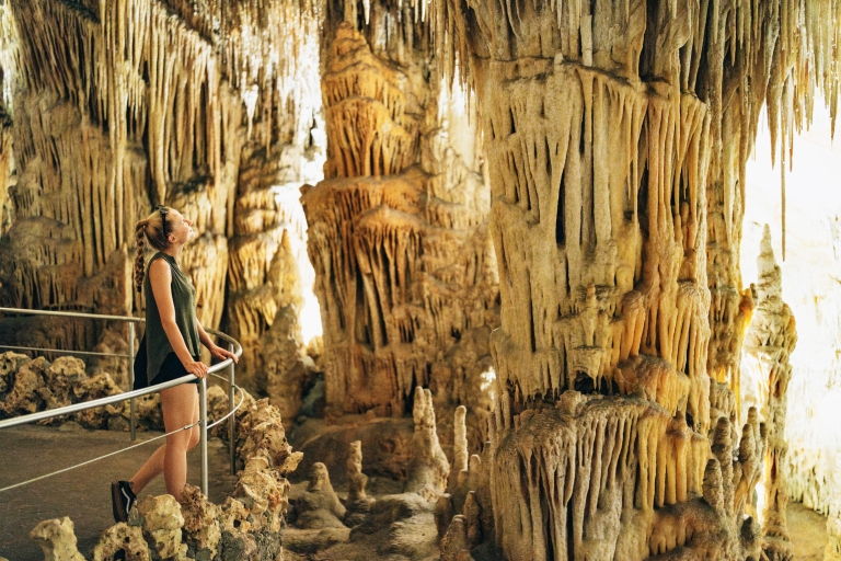 Mallorca: Excursión de un día a las Cuevas del Drach y cuevas opcionales del HamsCuevas del Drach y Hams: tour de día completo