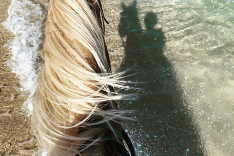 Hammamet : Randonnée à cheval sur la plage