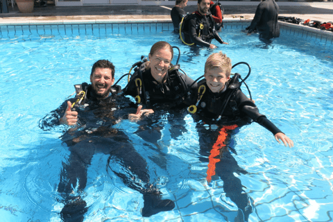 Paphos: excursion d'une demi-journée de plongée sous-marine en MéditerranéePaphos: excursion d'une demi-journée à la découverte de la plongée sous-marine en Méditerranée