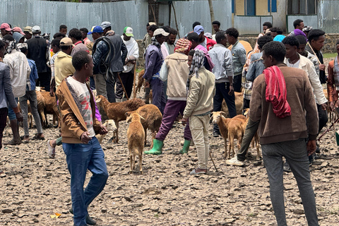 From Addis Ababa: 3-Day Ethiopia Highlights Adventure