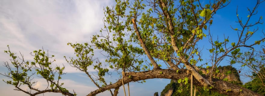Krabi : excursion en hors-bord vers Hong Island et 4 îles avec snorkeling