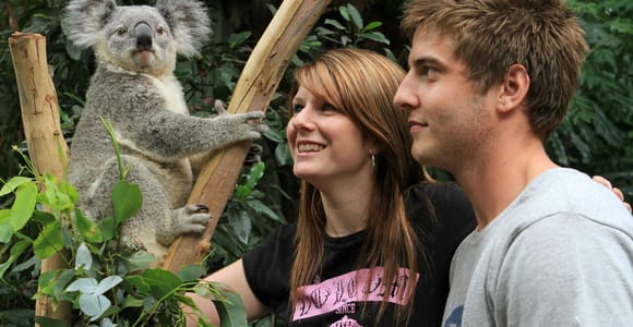 Private BlueMountains, ScenicWorld & AustralianWildlife Tour