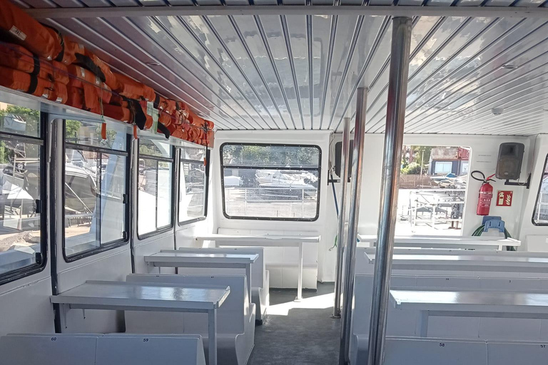 Valencia: Catamaran Cruise, Paella Lunch and Swim Stop