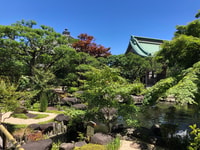 Excursión del día de Kamakura Temple & Enoshima - Hizvo