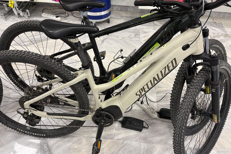 Bled: Premium Bike Rental