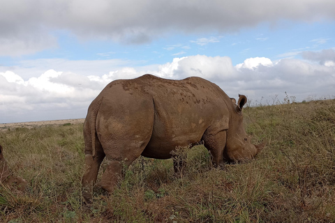 Nairobi: Dagstur till Elefantreservatet och Giraffcentret