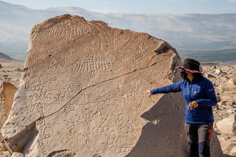 AREQUIPA : Pétroglyphes de Dead Bull et empreintes de dinosaures(Copie de) Petroglifos Toro Muerto y Huellas de Dinosaurios