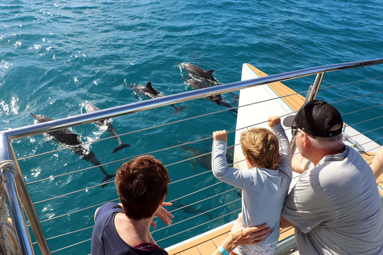 Luxury Sunset Cruise, Snorkeling, Dolphin Watch, & Buffet Oahu: Private Sunset Snorkel & Dolphin Watch with Dinner