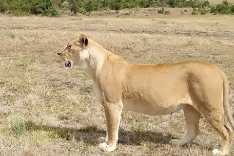 Nairobi: Overnight Adventure in Aberdare National Park