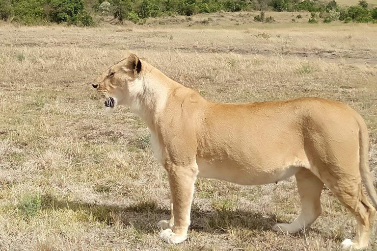 Nairobi: Overnight Adventure in Aberdare National Park
