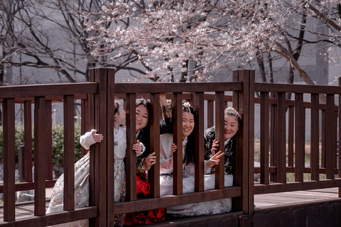 Busan: Private Photoshoot with Professional Photographer
