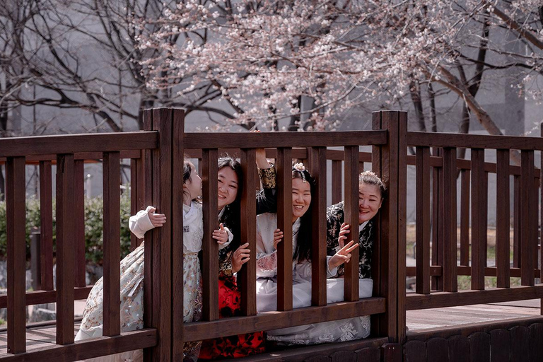 Busan: Private Photoshoot with Professional Photographer