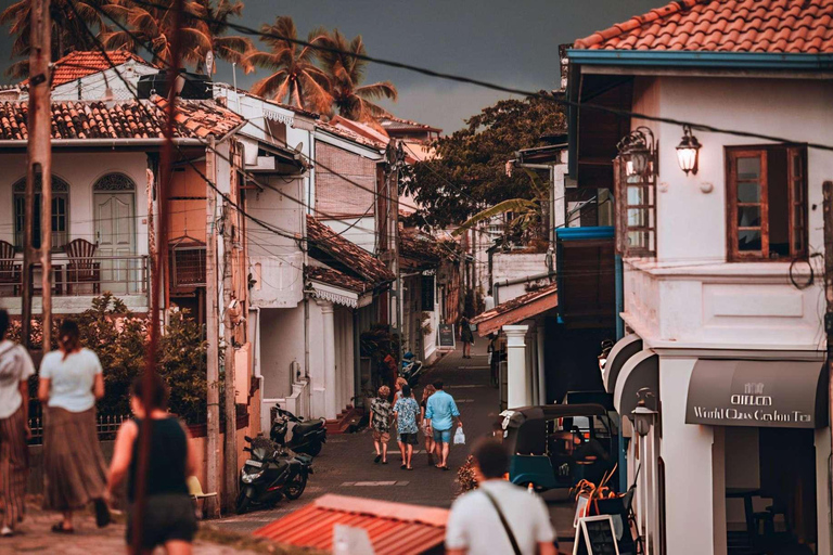 Coastal Escape: Colombo to Galle City Day Tour