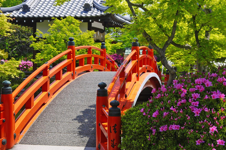 Kyoto: Nijo Castle History Walking Tour – World Heritage