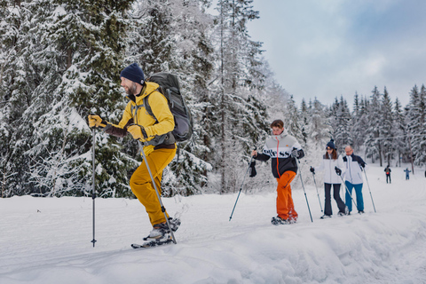 Vanuit Oslo: Sneeuwschoentocht met gids door Oslomarka ForestVanuit Oslo: begeleide sneeuwschoentocht door het bos van Oslomarka