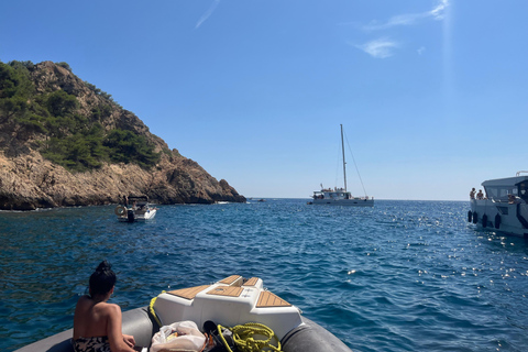 Marseille: Kurs auf das Chateau d'If und die Frioul-Inseln