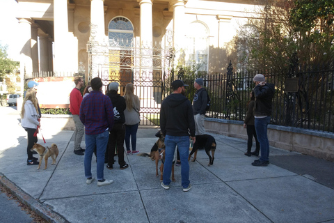 The Chicora Walk (History Walking Tour) The Chicora Walk (History walking tour)