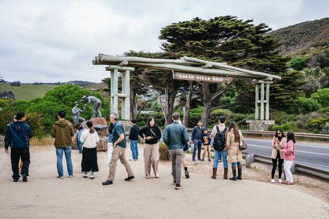 From Melbourne: Great Ocean Road Full-Day Trip