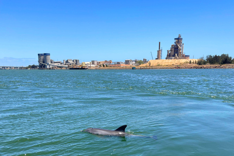 Port Adelaide: Dolphin and Maritime Cruise