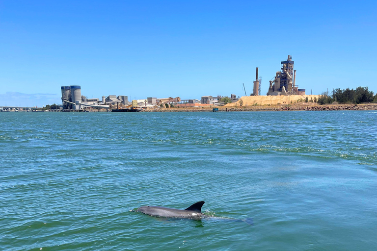 Port Adelaide: Dolphin and Maritime Cruise