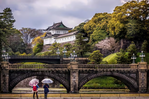 Tokyo Private Guided Tour With Hotel Pickup and Drop-off